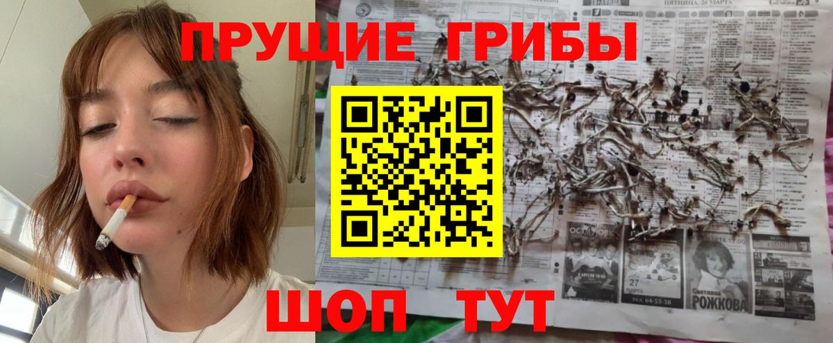 Галлюциногенные грибы Magic Shrooms  Псилоцибиновые грибы Psilocybe  Вход с VPN  купить наркотики сайты  Дзержинск 